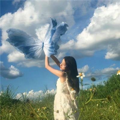 神秘女王蜂